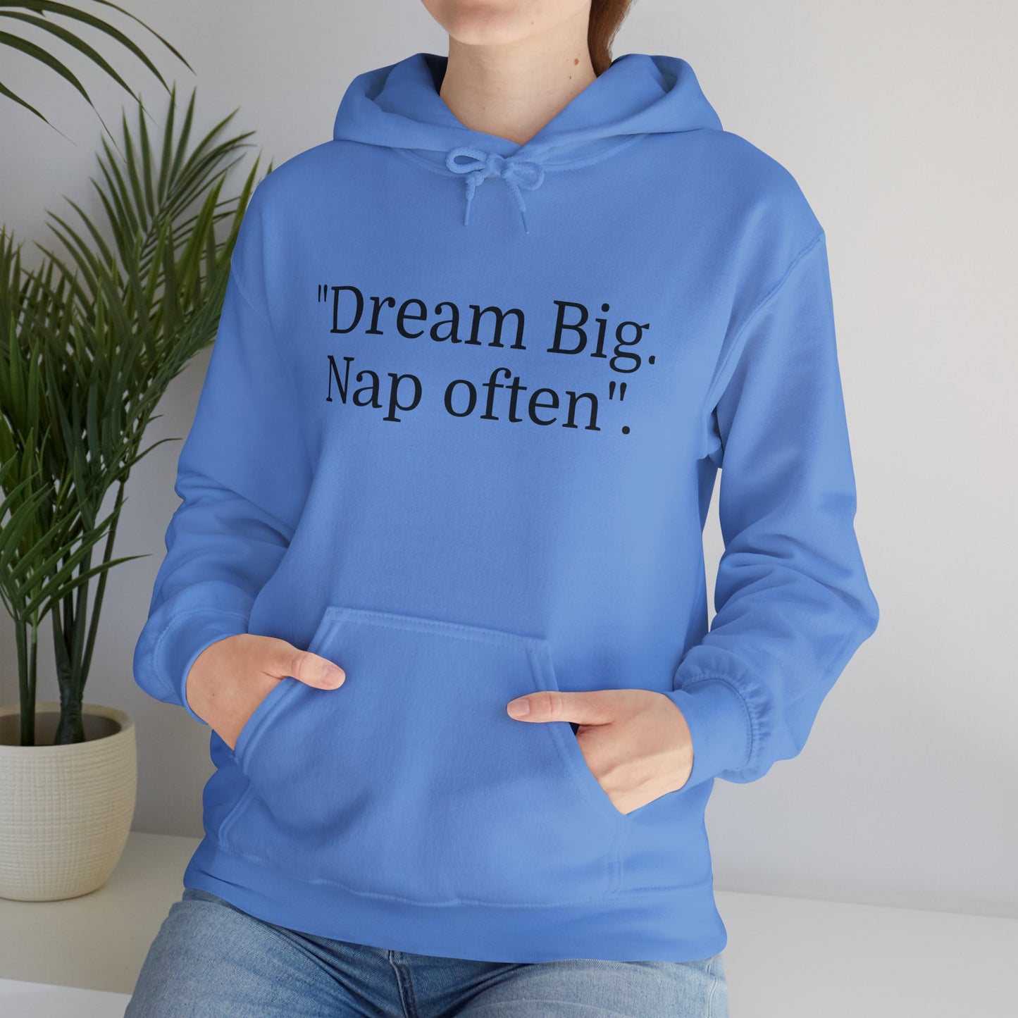 Hooded Sweatshirt, "Dream Big, Nap often"