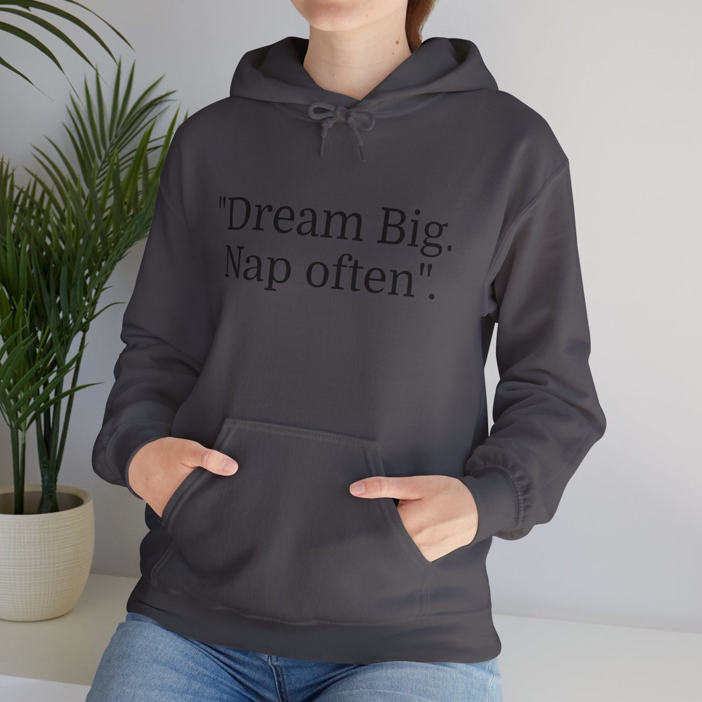 Hooded Sweatshirt, "Dream Big, Nap often"