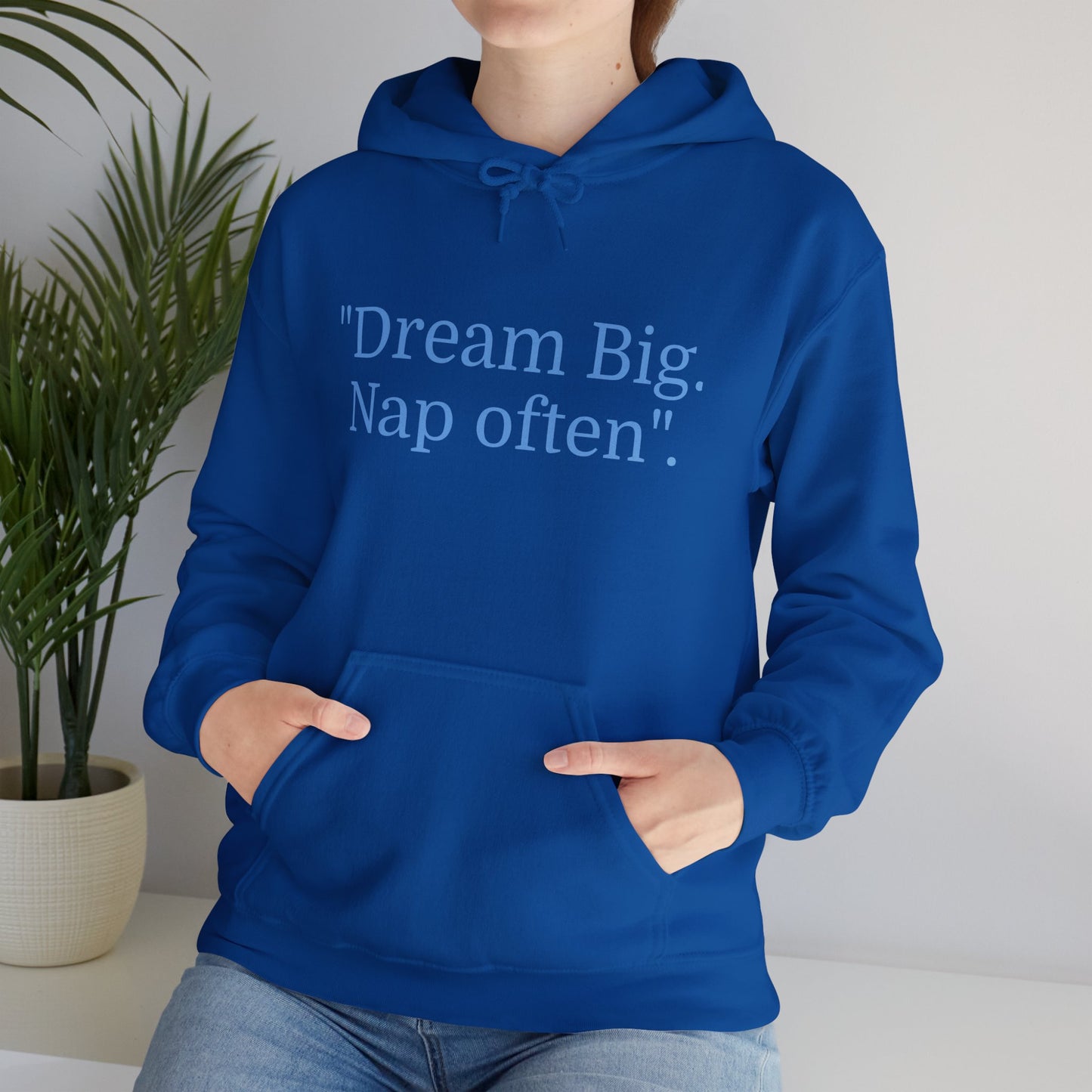 Hooded Sweatshirt, "Dream Big, Nap often"